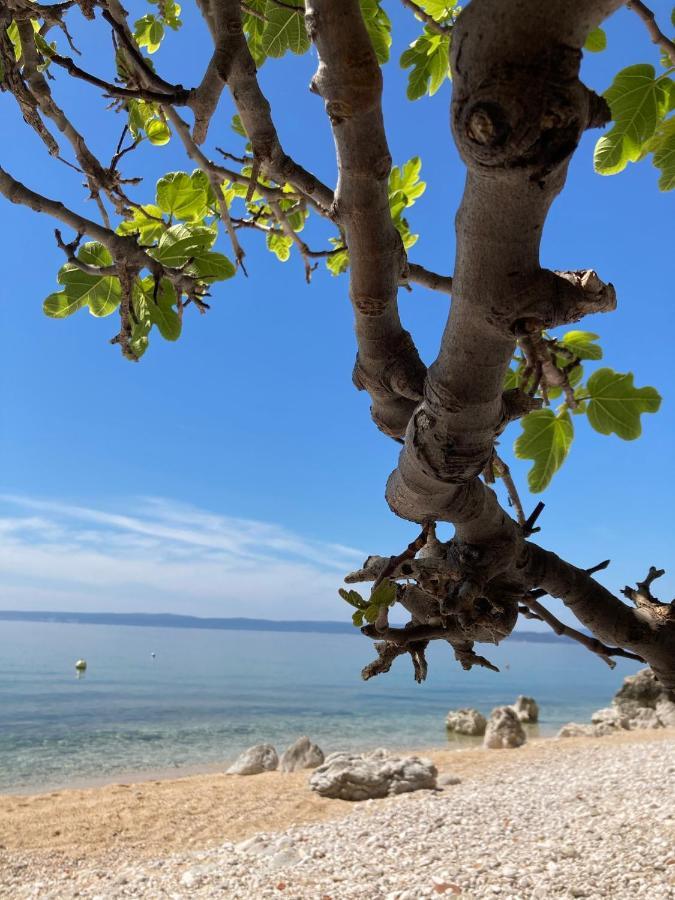 Villa Kuca Za Odmor Baya à Stara Baška Extérieur photo